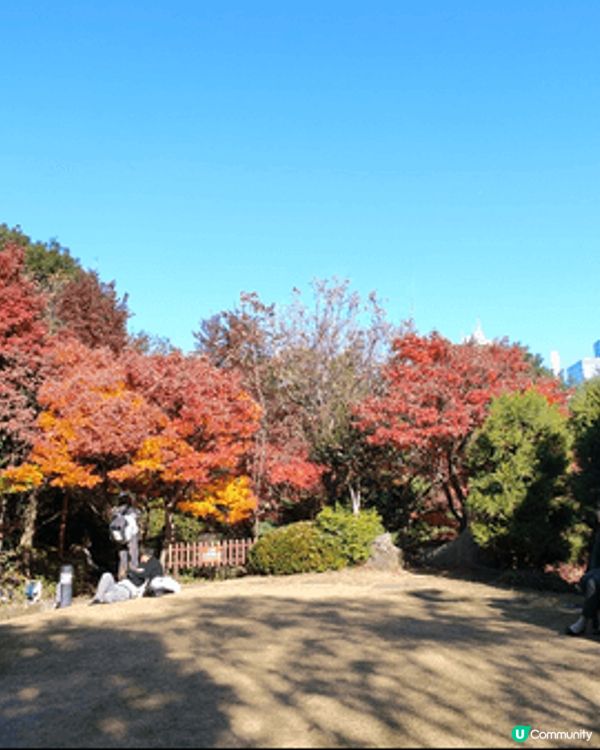 目白庭園免費入場，中央是一個大池子，四周隨處都可以看到別緻的...