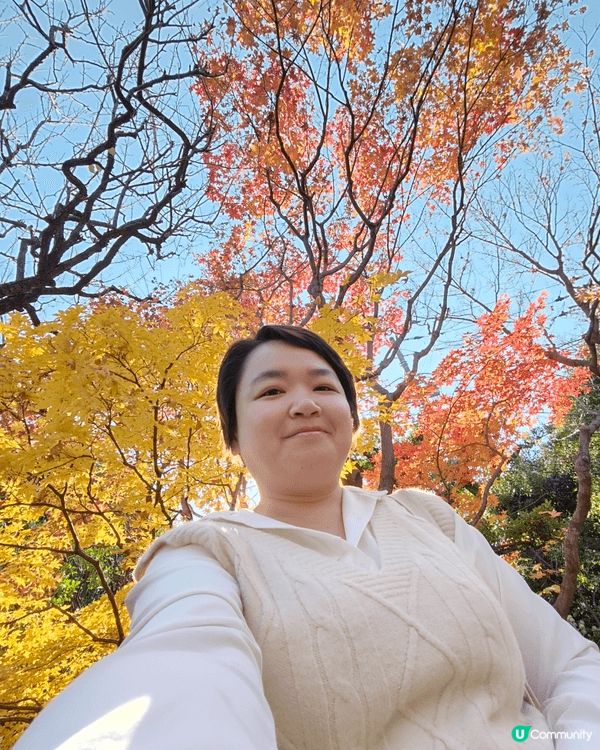 目白庭園免費入場，中央是一個大池子，四周隨處都可以看到別緻的...