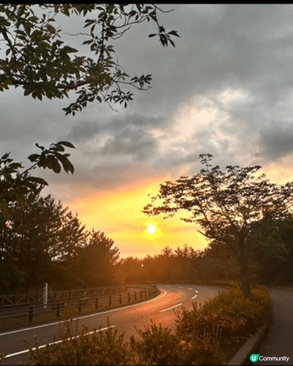 鹿兒島真係好靚！依山傍海，仲有活火山櫻島日日噴煙，超有氣勢～...