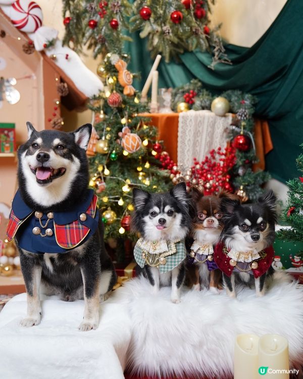 ₍⁽ˊᵕˋ⁾₎❆🎄聖誕我地一齊跑咗好多個場呀*̣̥☆·͙̥‧...