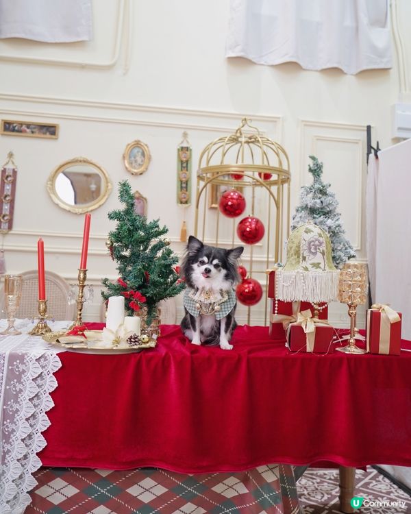 聖誕一定要去Studio影返一輯相🥰✨