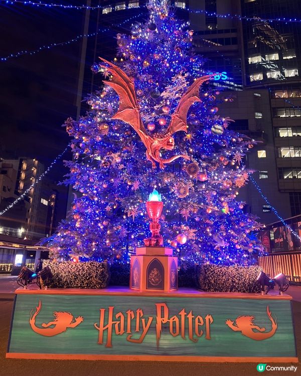 哈利波特聖誕樹🎄✨
