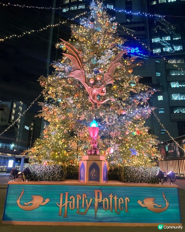 哈利波特聖誕樹🎄✨