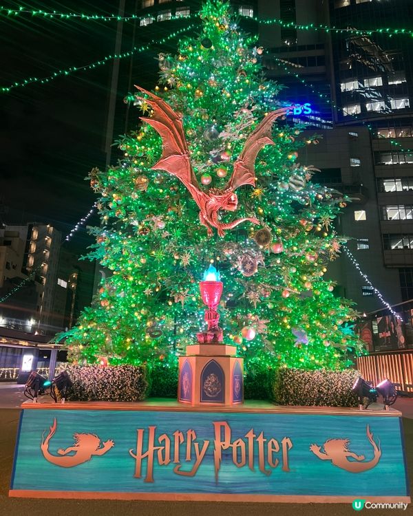 哈利波特聖誕樹🎄✨