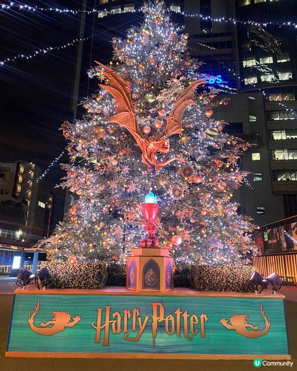 哈利波特聖誕樹🎄✨