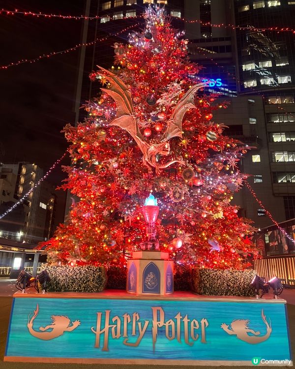 哈利波特聖誕樹🎄✨