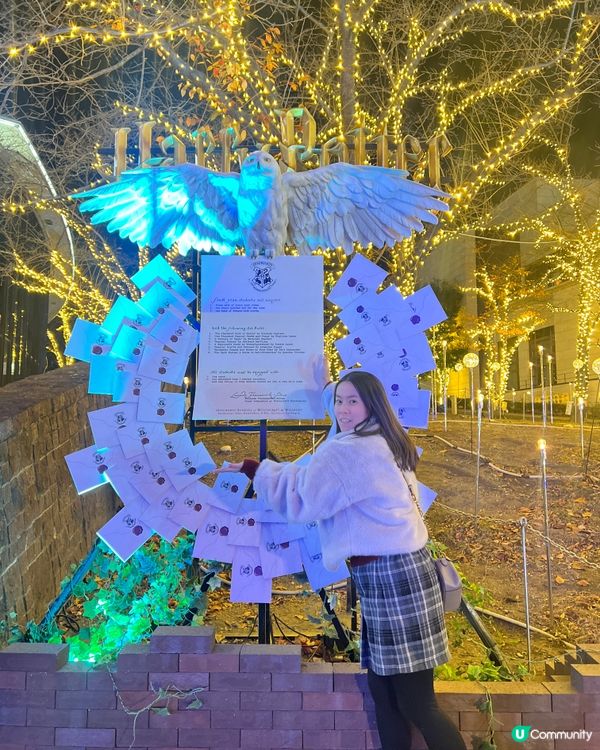 哈利波特聖誕樹🎄✨