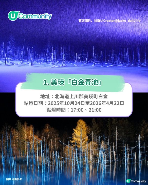 【日本點燈2026】日本8大冬日點燈活動 人生必去白川鄉/白金青池/冬燈廊☃️