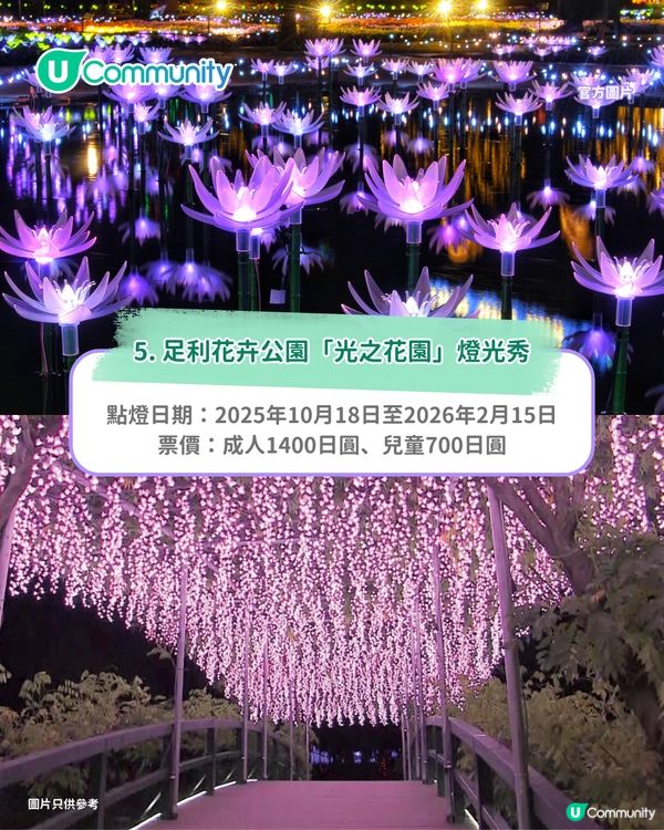 【日本點燈2026】日本8大冬日點燈活動 人生必去白川鄉/白金青池/冬燈廊☃️