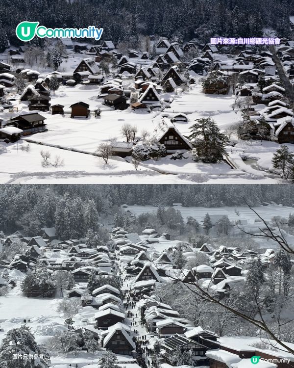 【日本點燈2026】日本8大冬日點燈活動 人生必去白川鄉/白金青池/冬燈廊☃️
