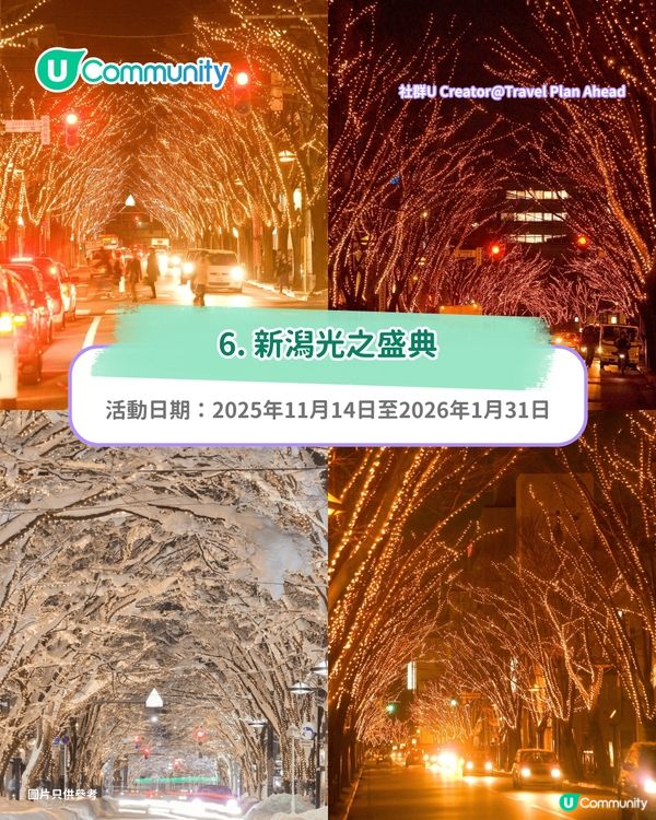 【日本點燈2026】日本8大冬日點燈活動 人生必去白川鄉/白金青池/冬燈廊☃️