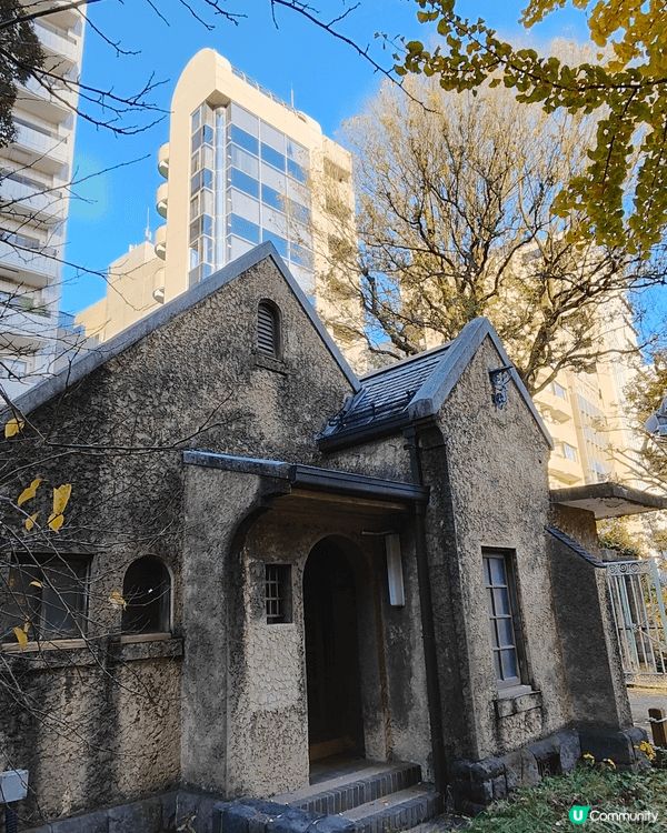 11月下旬去東京，喺新宿御苑外圍，慢慢散步到明治神宮外苑，免...