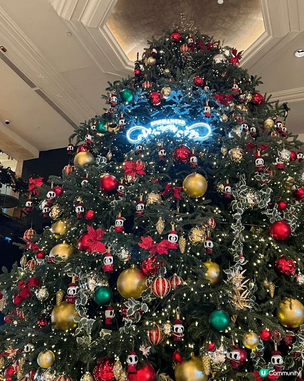 【終於搶到！九龍香格里拉麵包放題🥐🎄】