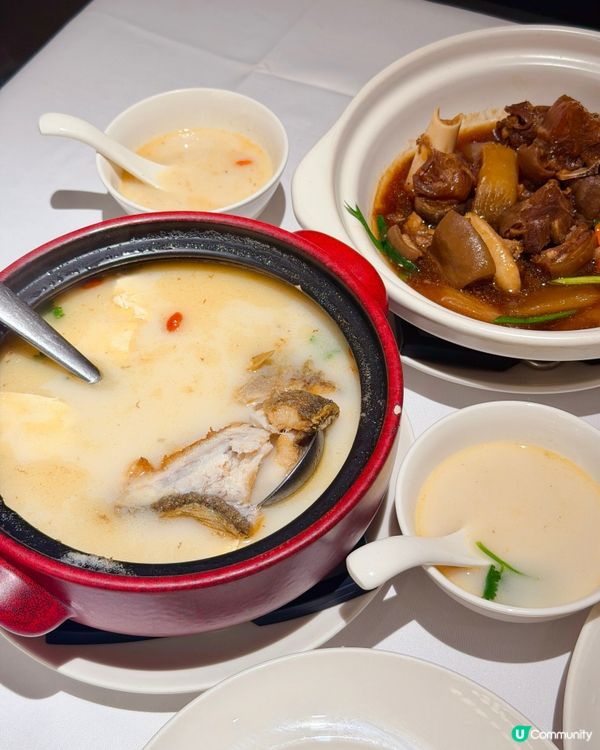 一到冬天就想食暖笠笠嘅羊腩煲!主打閩菜嘅莆田💗今個冬天幾款性...