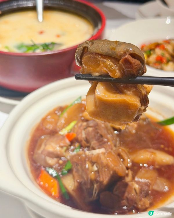 一到冬天就想食暖笠笠嘅羊腩煲!主打閩菜嘅莆田💗今個冬天幾款性...