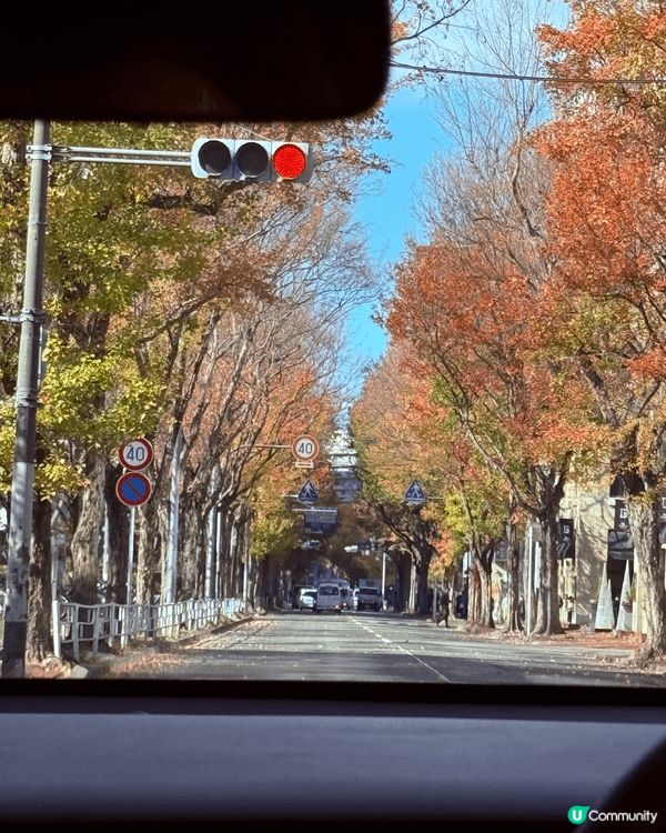 剛剛從福岡回港,今次旅程真是很難忘，天氣好好，風景好靚，到處...