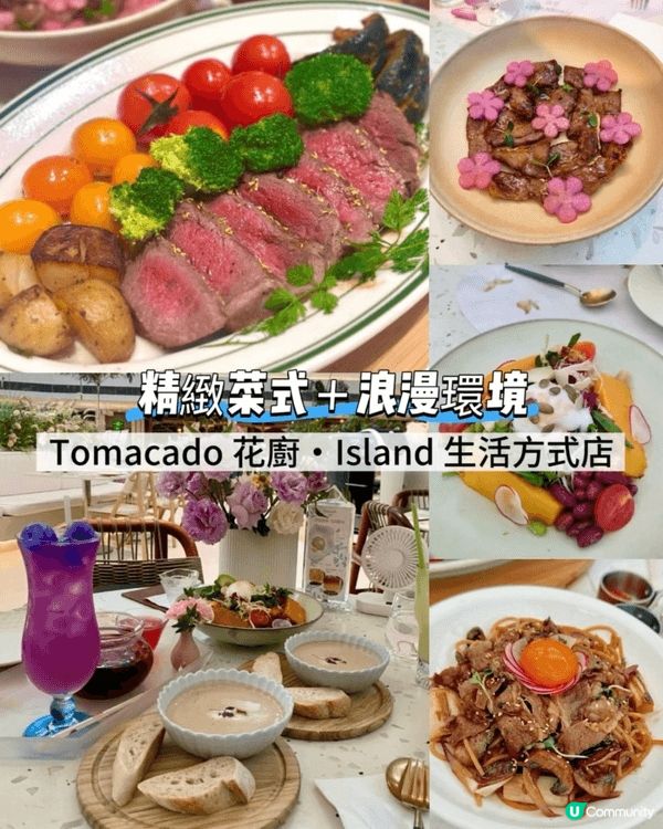 *Tomacado 花廚･Island 生活方式店|顏值與味...
