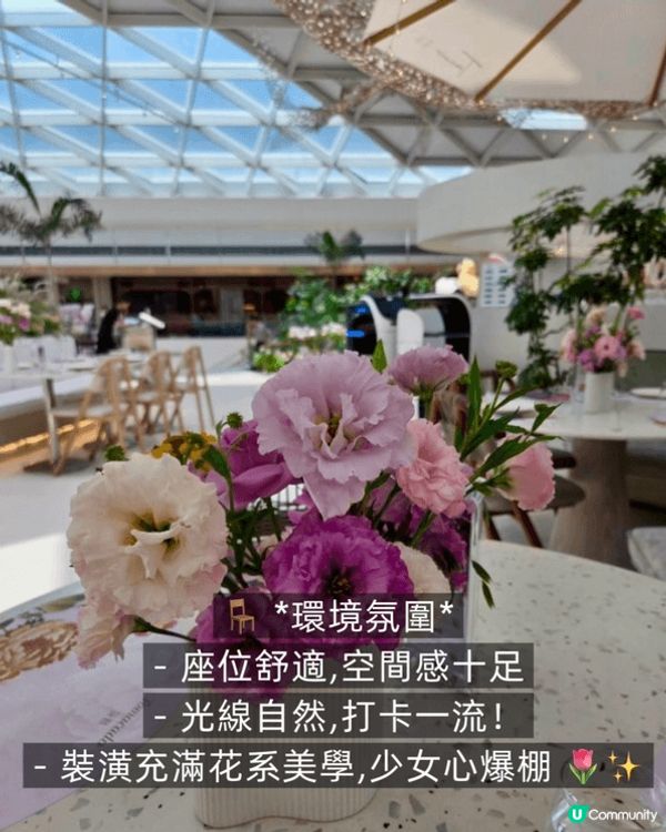 *Tomacado 花廚･Island 生活方式店|顏值與味...