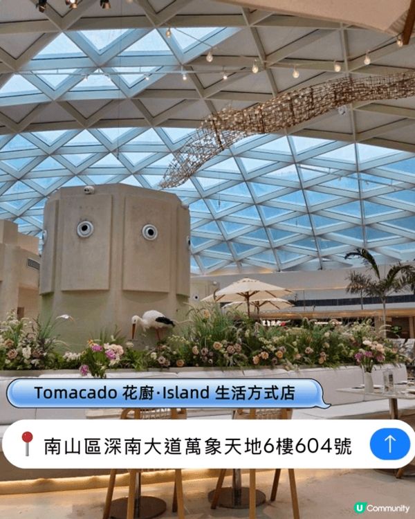 *Tomacado 花廚･Island 生活方式店|顏值與味...