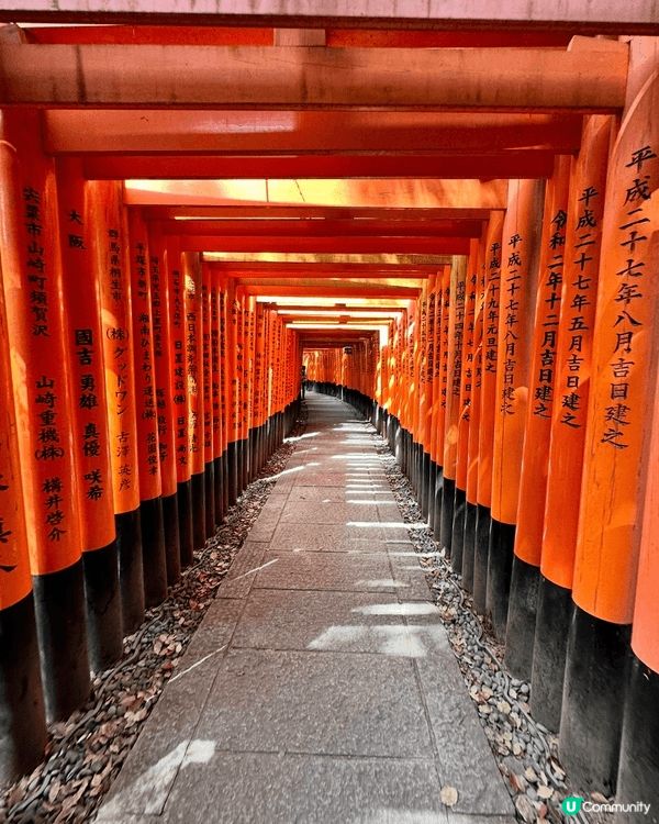 京都伏見稻荷以千本鳥居而聞名，其中一特點是日本最具代表性的景...