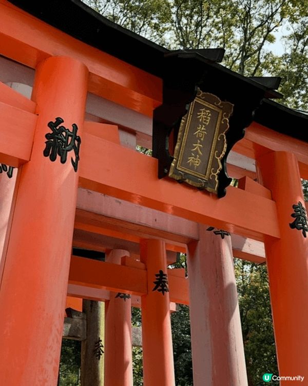 京都伏見稻荷以千本鳥居而聞名，其中一特點是日本最具代表性的景...