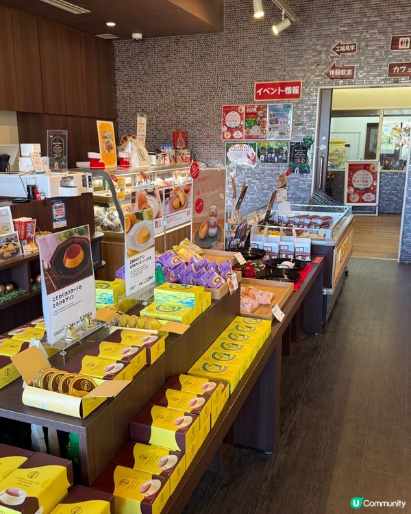 🍞八天堂工場見學：機場旁的親子必玩景點！