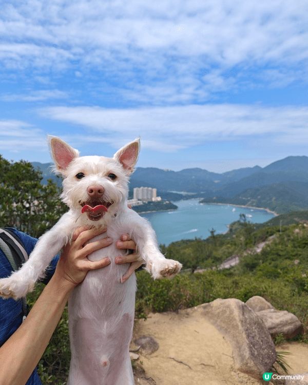 龍脊被世界知名旅遊指南《Lonely Planety》選為「...