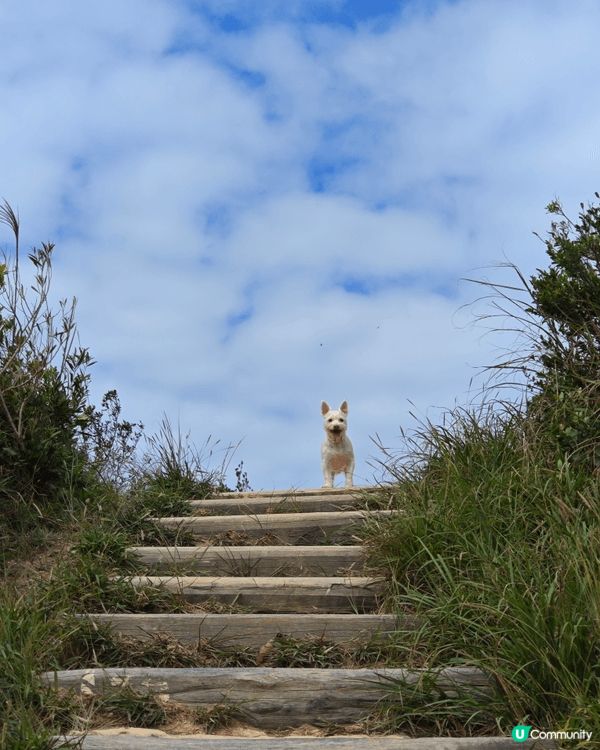 龍脊被世界知名旅遊指南《Lonely Planety》選為「...