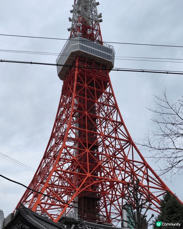 東京係一個旅遊好地方，有繁榮喧鬧街道，亦有幽靜小徑，可以感受...