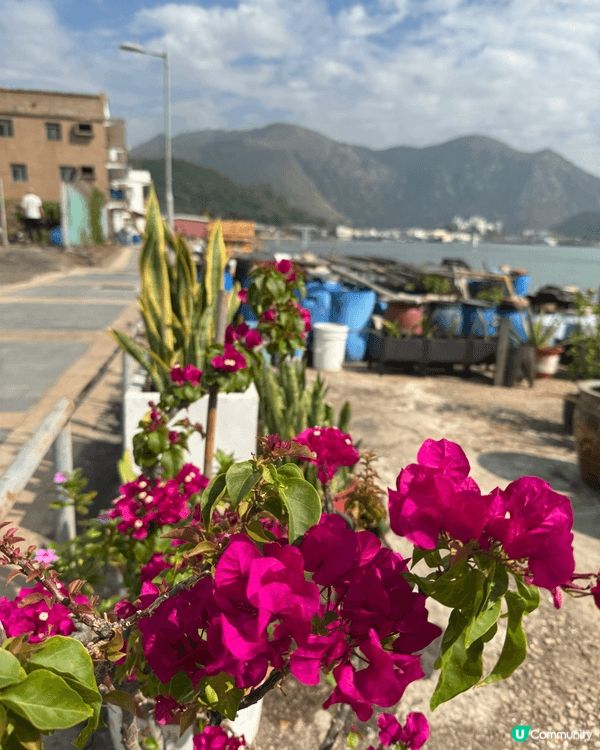 大澳舊警署改建酒店🏨！簡單見証香港舊使