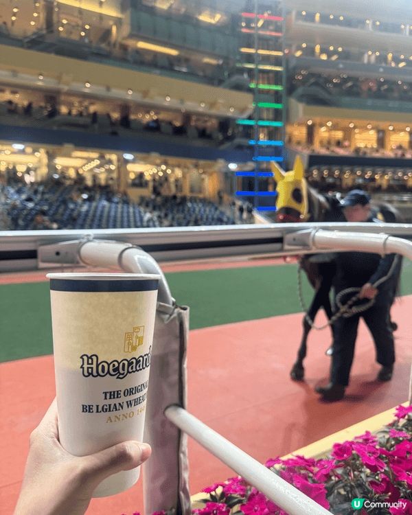 星期三最好就係去跑馬地馬場，一邊飲啤酒一邊欣賞賽馬🐎真係好c...