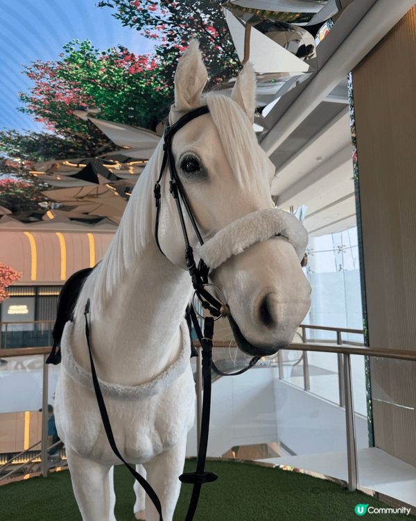 星期三最好就係去跑馬地馬場，一邊飲啤酒一邊欣賞賽馬🐎真係好c...