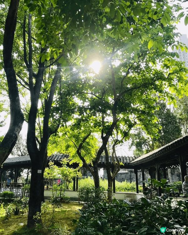 九龍寨城公園，gardening 非常雅致，行完個人充滿了氣...