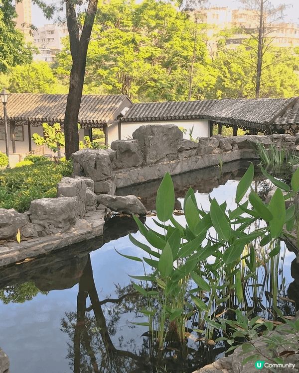 九龍寨城公園，gardening 非常雅致，行完個人充滿了氣...