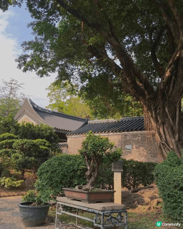 九龍寨城公園，gardening 非常雅致，行完個人充滿了氣...