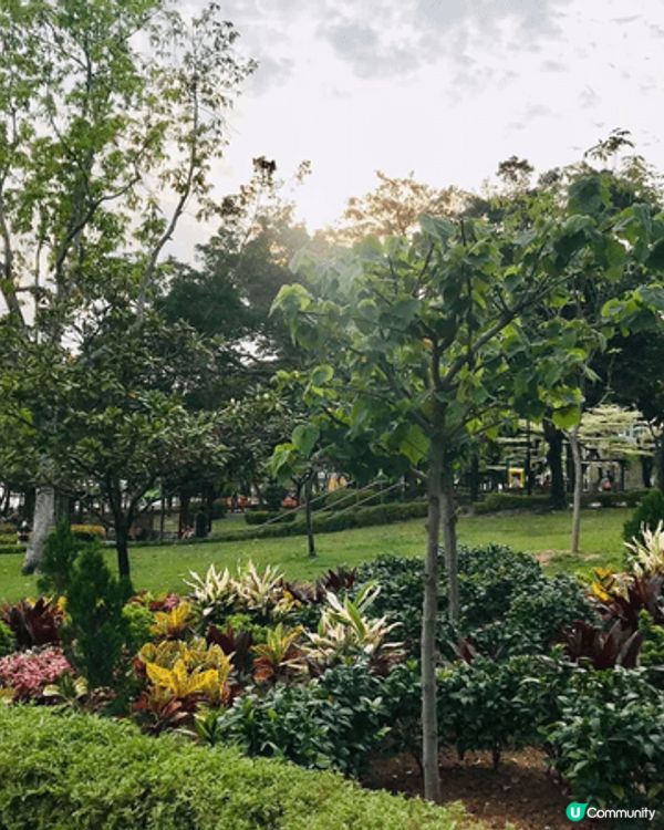 九龍寨城公園，gardening 非常雅致，行完個人充滿了氣...