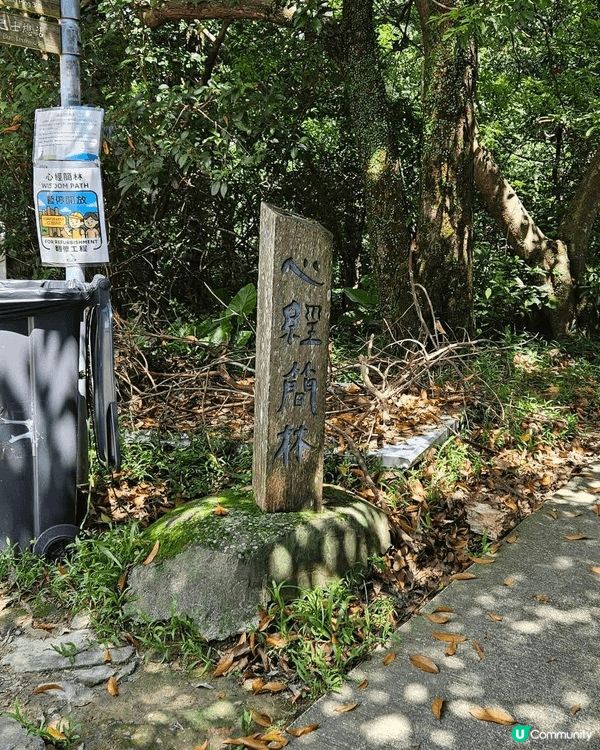 之前同屋企人齊齊去大嶼山拜大佛，然後去登彌勒山，呼吸新鮮空氣...