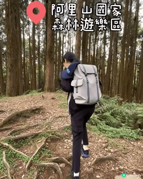 🔥 台中首次遊懶人必備攻略