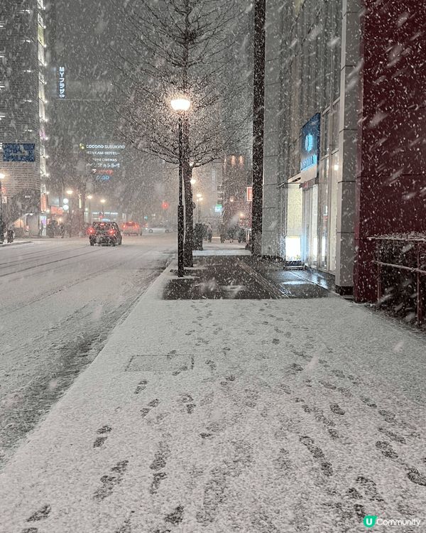 這幾天的北海道，正值下大雪，非常美麗。還碰到地震，但總算吉人...