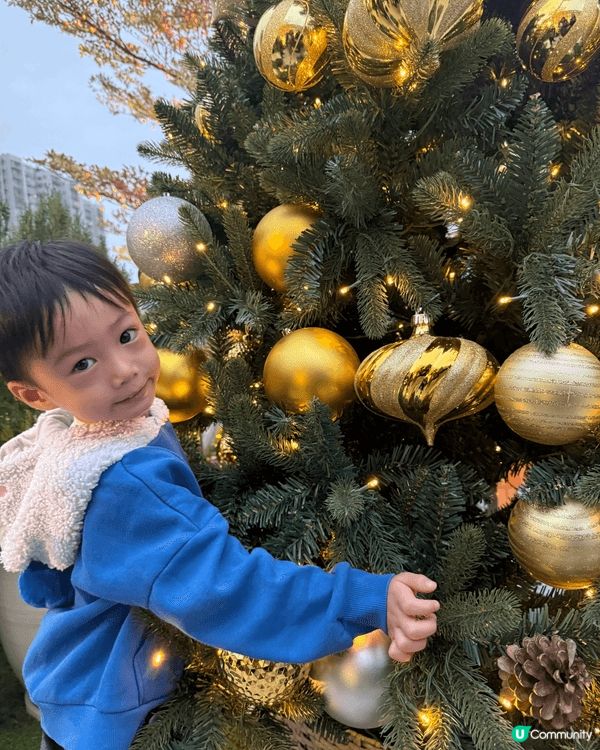 海港城迪士尼聖誕裝飾 及沙田新城市廣場
