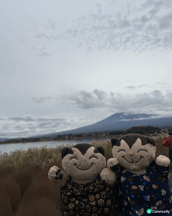 河口湖遠觀富士山風景。