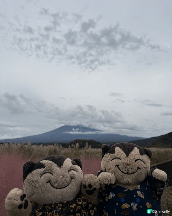 河口湖遠觀富士山風景。