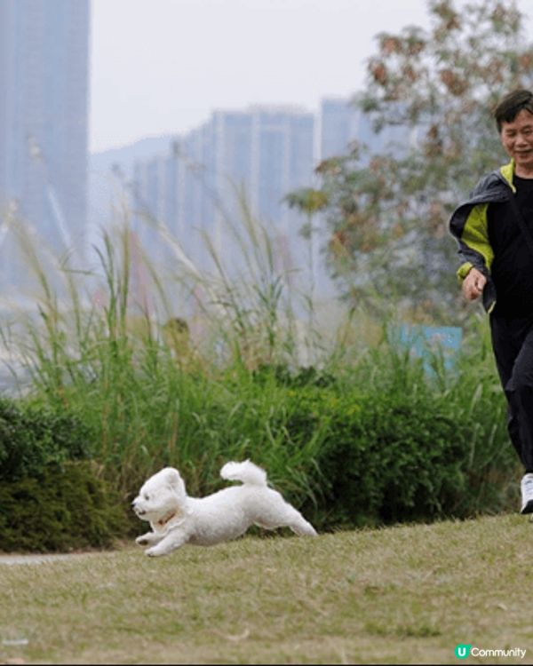 呢個係我狗狗同我爸爸去西九放電既相，狗狗同爸爸都好開心！