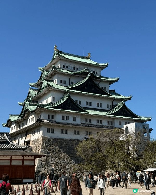 日本常去地方，喜歡魚生美味，風景如畫，令人很喜歡