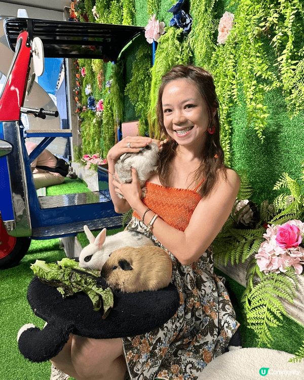🐰曼谷必訪治癒系兔兔咖啡廳！咖啡廳里有超多毛茸茸的兔星人自由...