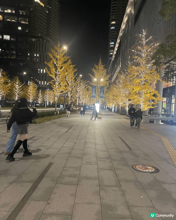 11月尾去咗日本大阪，街道上已經唔少地方有燈飾，亦都有一啲聖...
