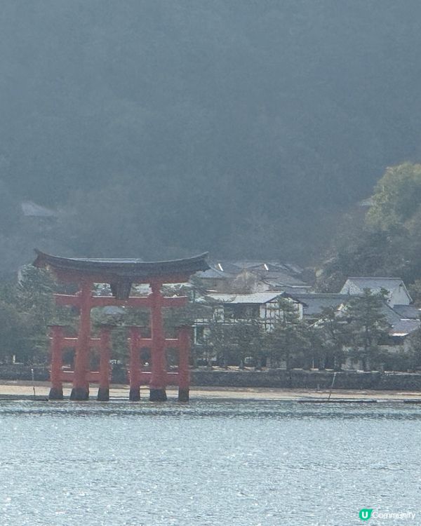 ❤️廣島旅行必去景點Top1: 宮島半天遊❤️