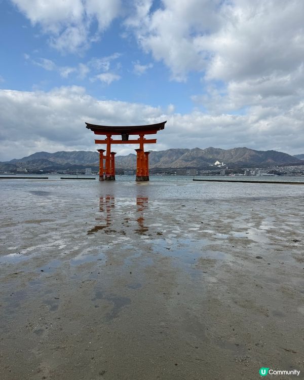 ❤️廣島旅行必去景點Top1: 宮島半天遊❤️