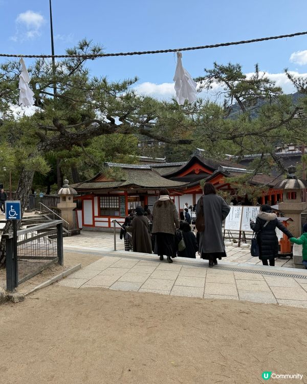 ❤️廣島旅行必去景點Top1: 宮島半天遊❤️