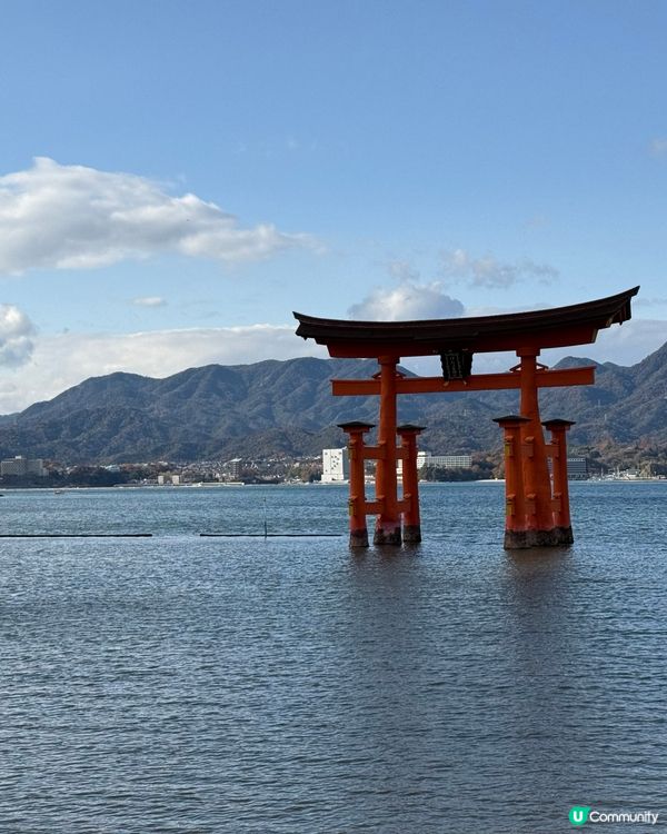 ❤️廣島旅行必去景點Top1: 宮島半天遊❤️